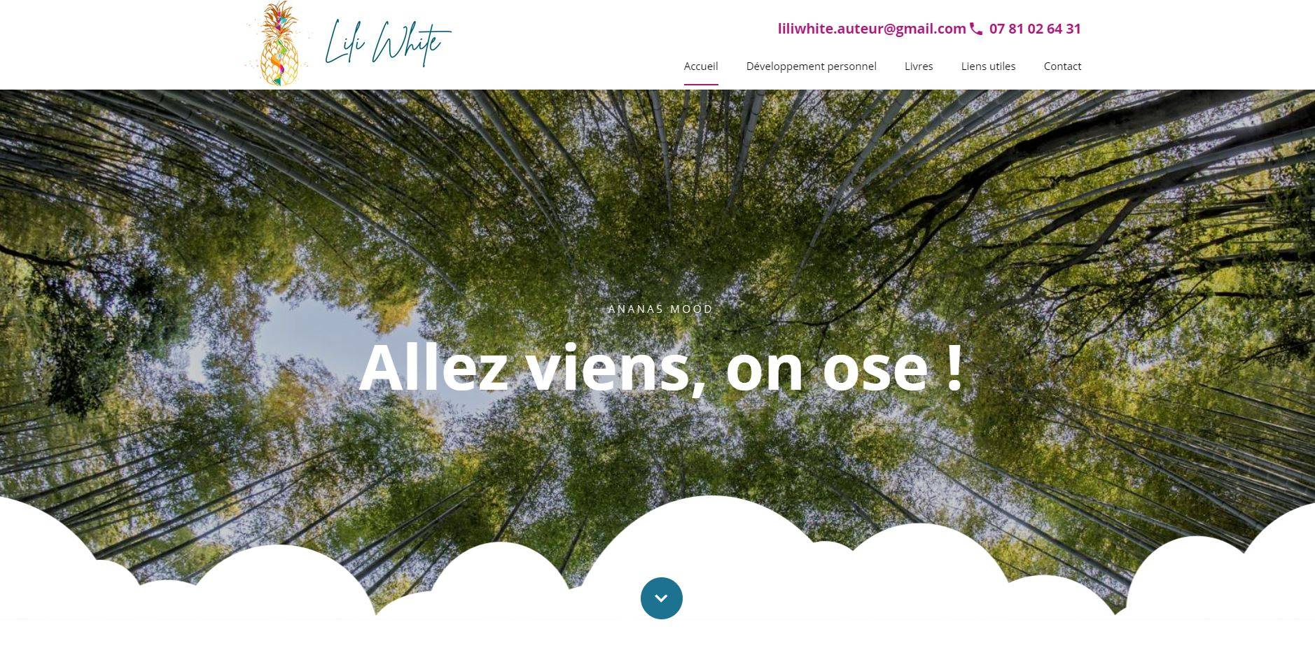 Charte graphique sur-mesure à Marseille