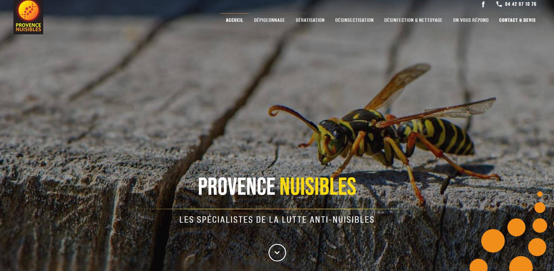 Se débarrasser des nuisibles à Marseille