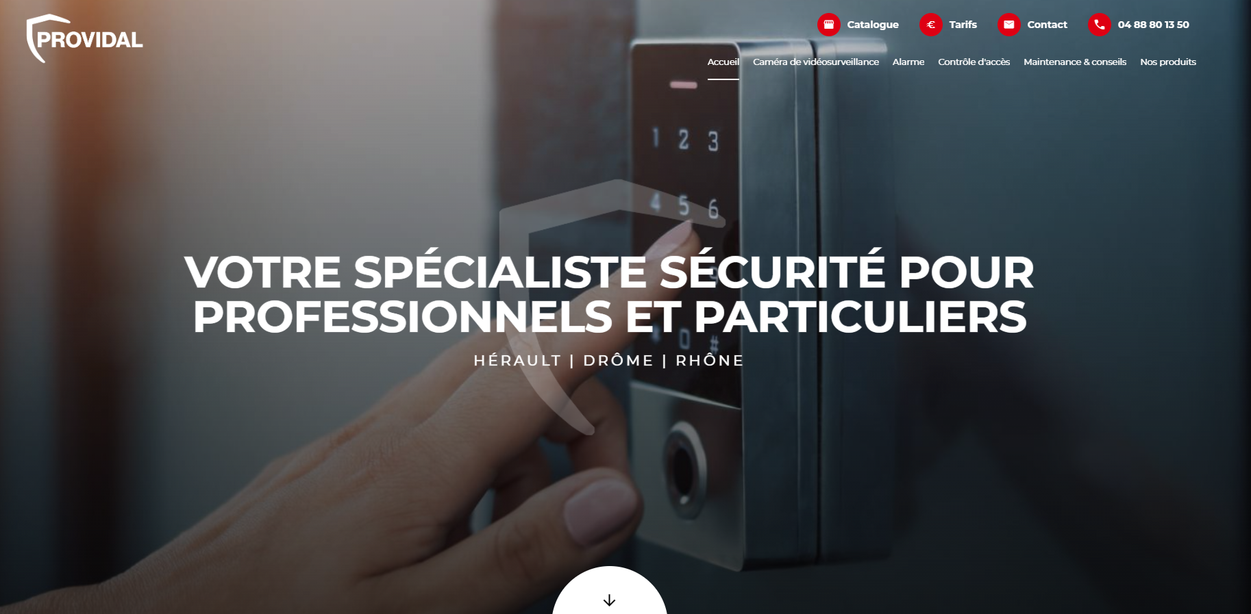 Spécialiste de la sécurité pour professionnels à Villeurbanne