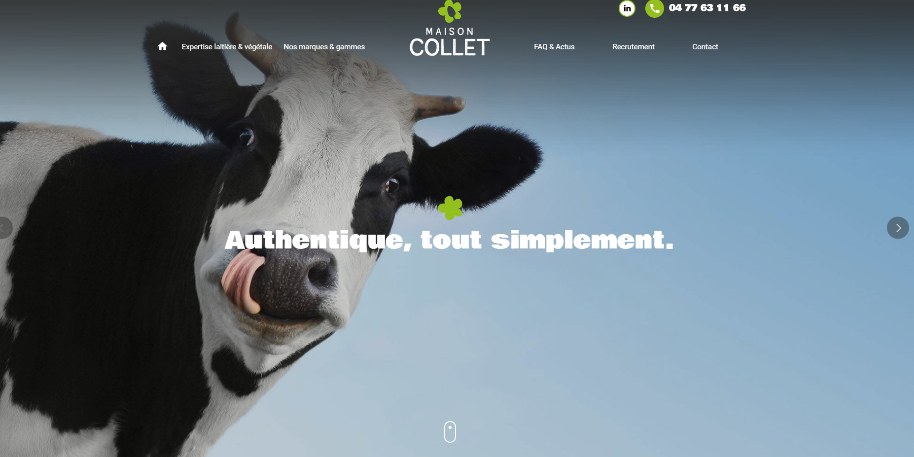 Trouver une marque de yaourt Bio au lait végétal sans soja à Roanne