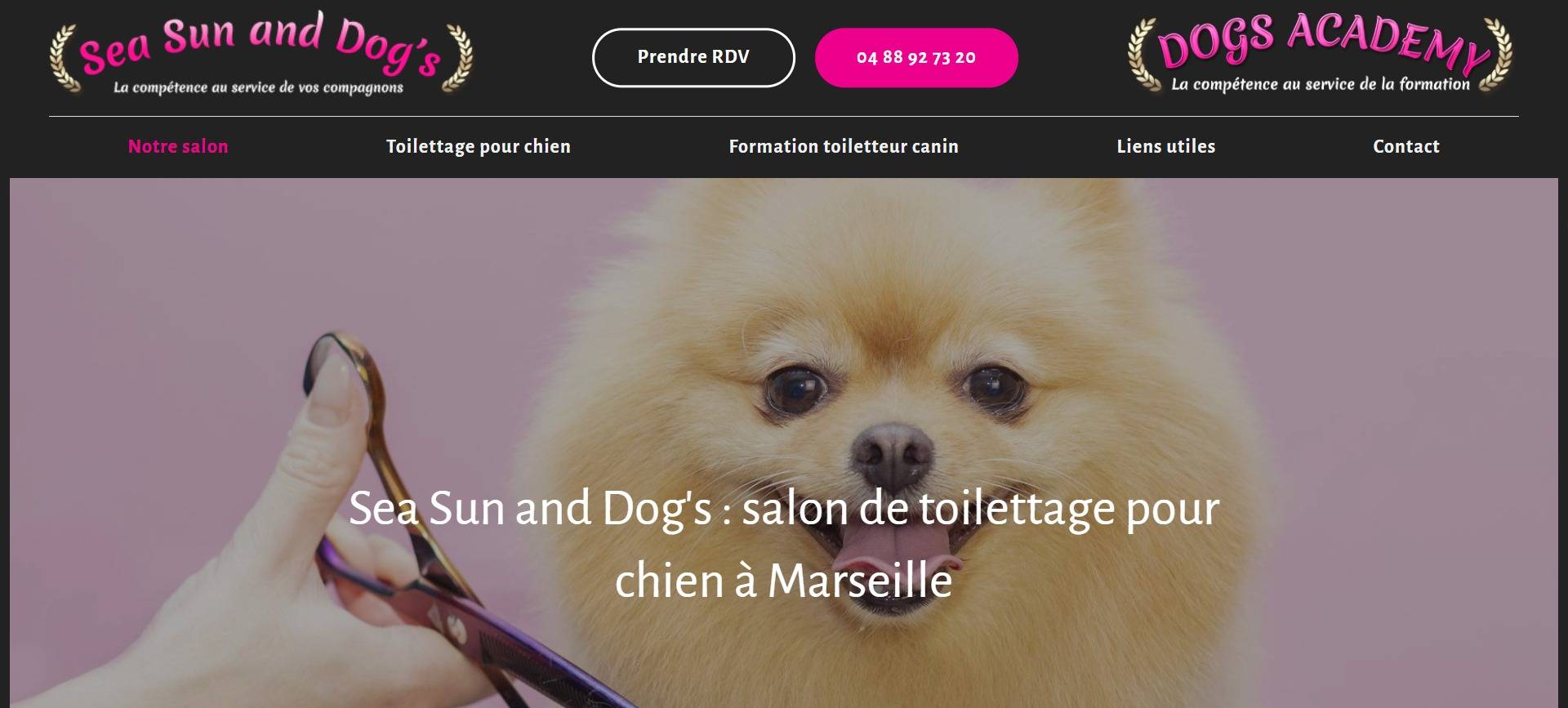   salon canin spécialisé en toilettage pour chien pour concours canin, handling et exposition canine à Marseille