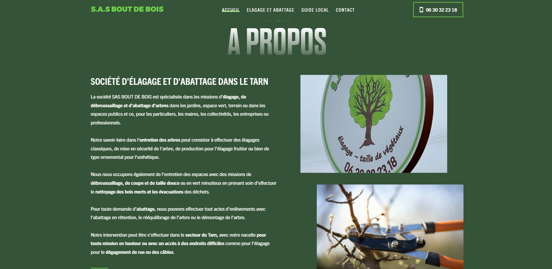 Trouver une société d'élagage et d'abattage dans le Tarn