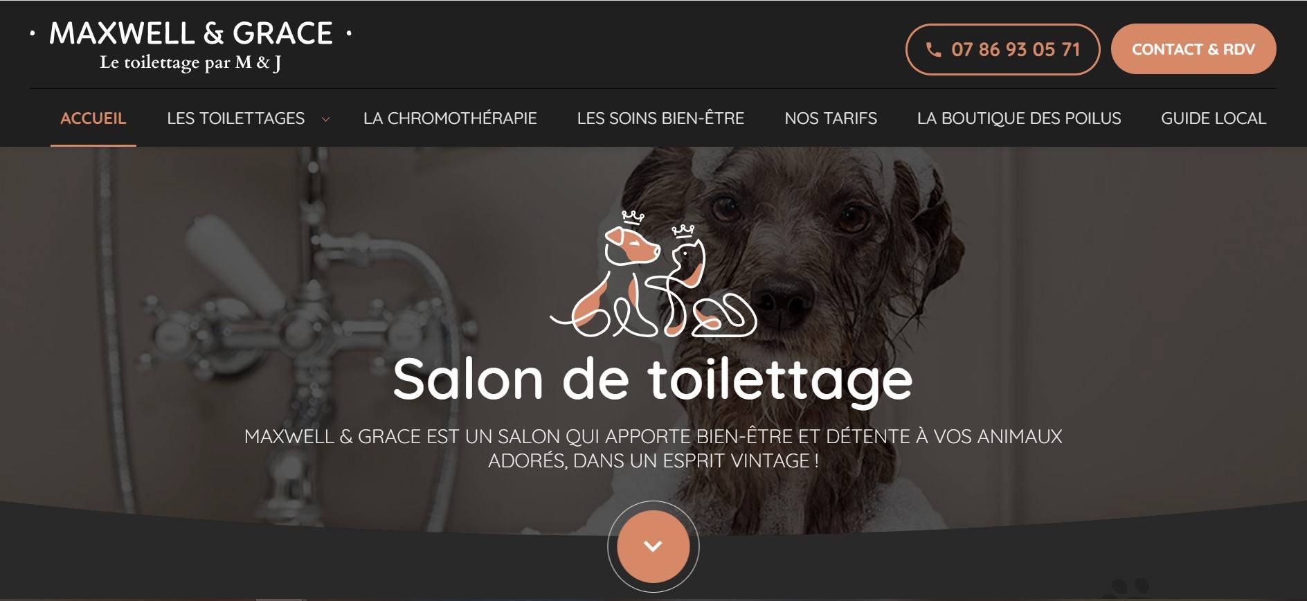 Meilleur salon de toilettage à Lille 