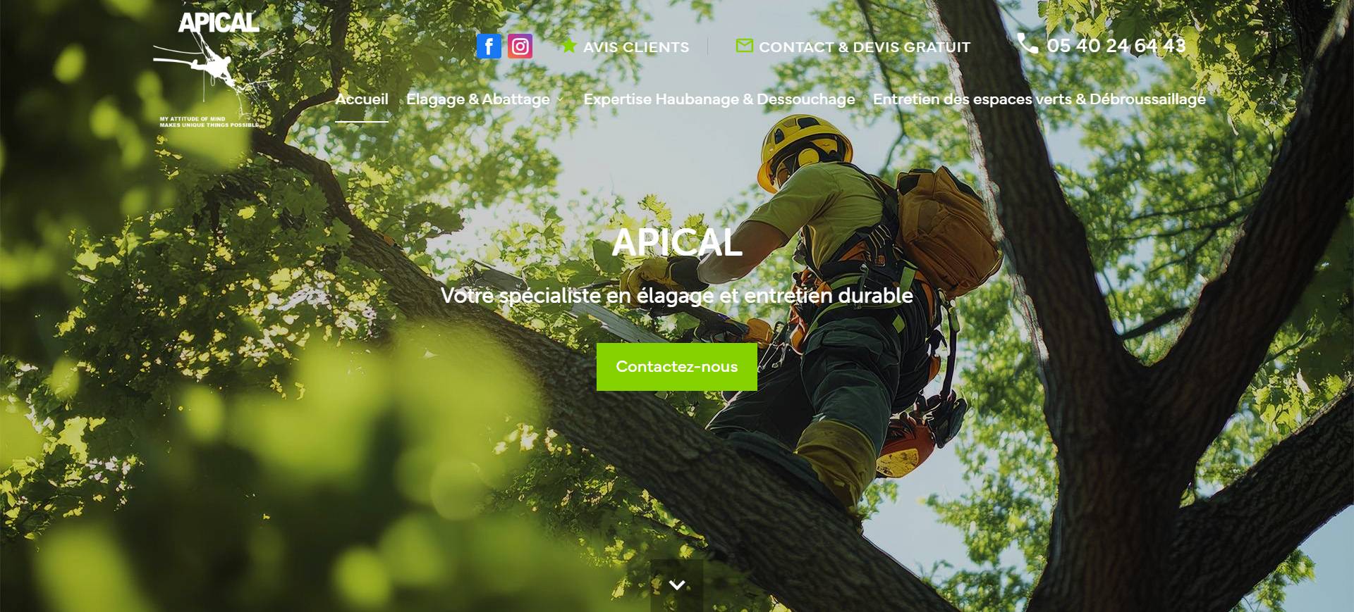 Avis APICAL – Élagage, abattage et haubanage en Occitanie