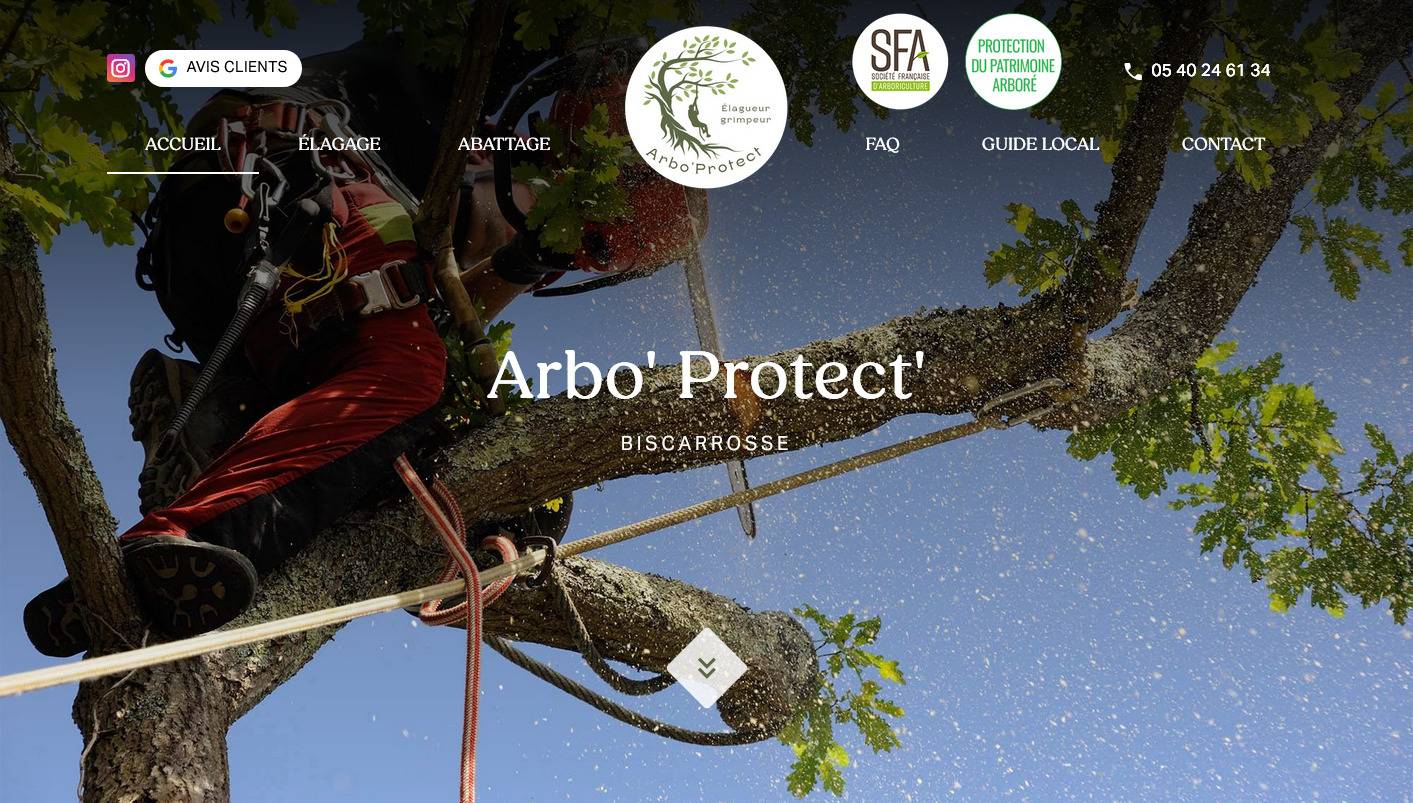 Comment abattre un arbre dangereux à Biscarrosse ? - Arbo' Protect'