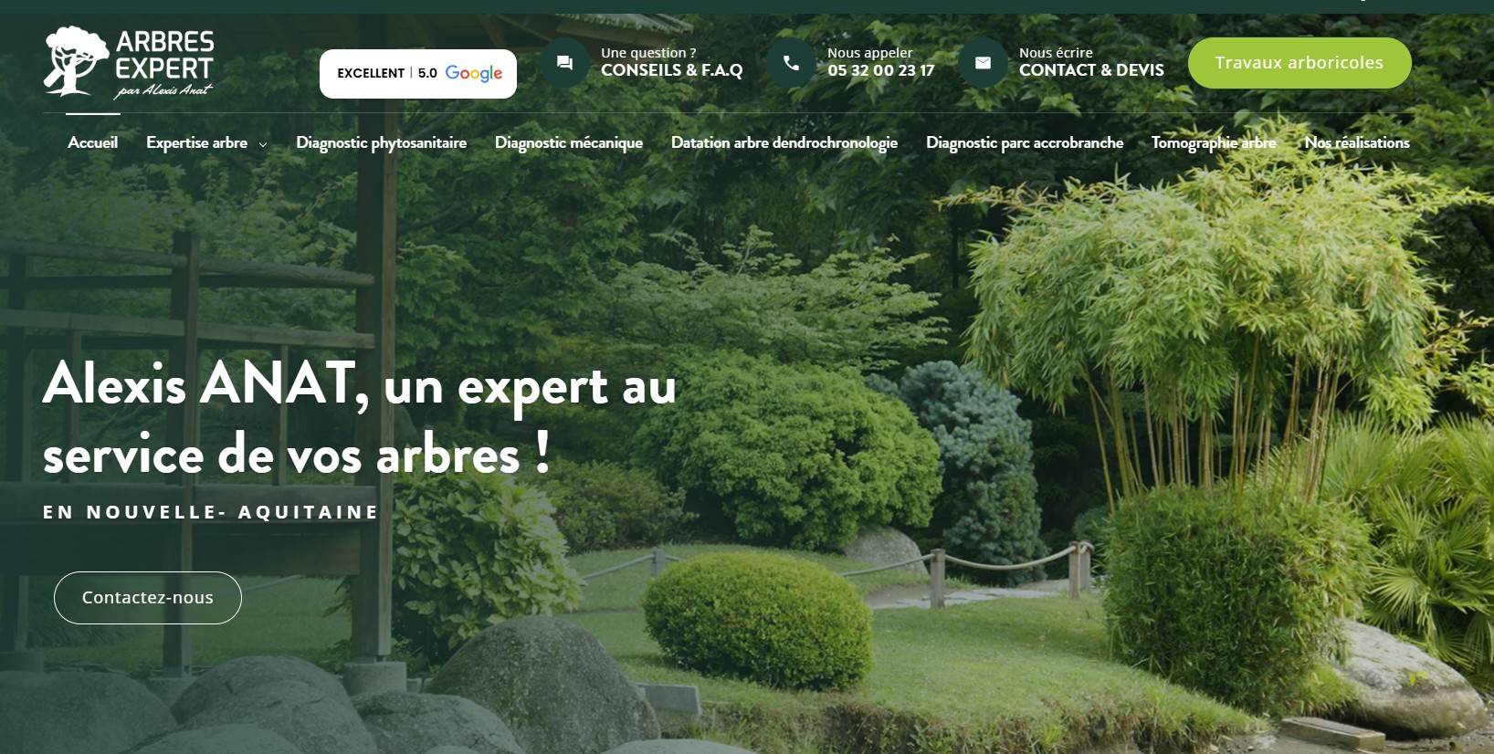 Comment évaluer la santé et la dangerosité d'un arbre à Bordeaux ?  Arbres Expert