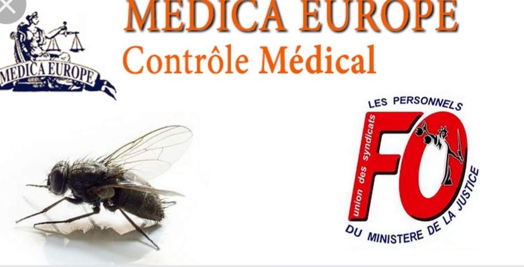 Centre médical pour contrôle des arrêts et contre visite médicale Marseille proche Vitrolles Médica Europe