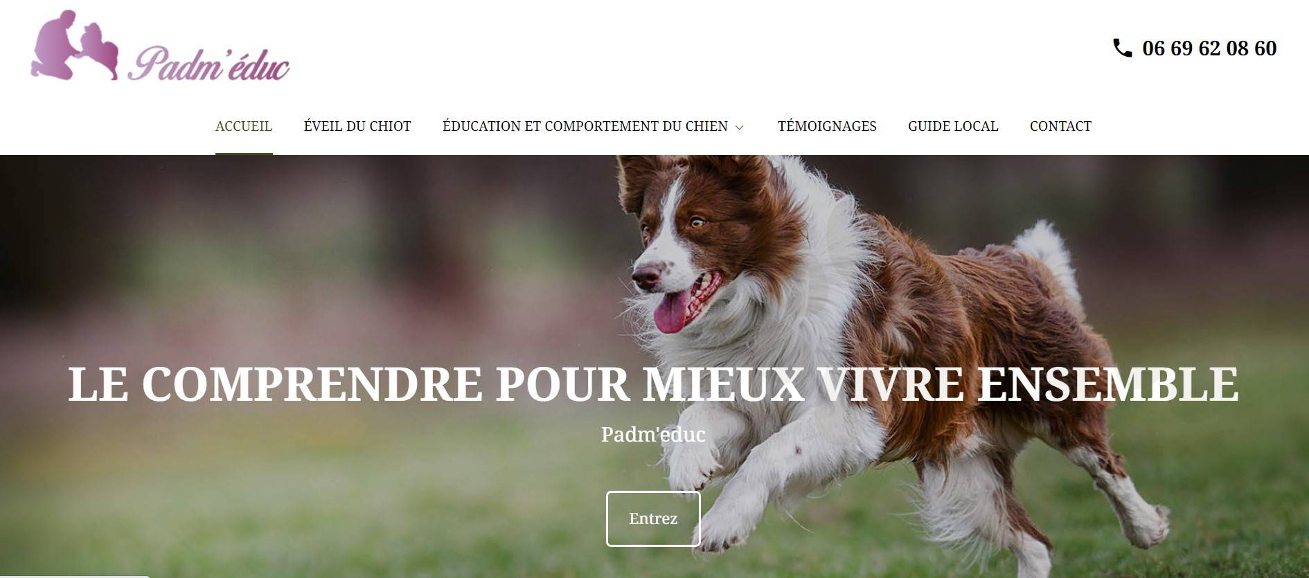 Dressage de chien agressif à domicile Antibes 06