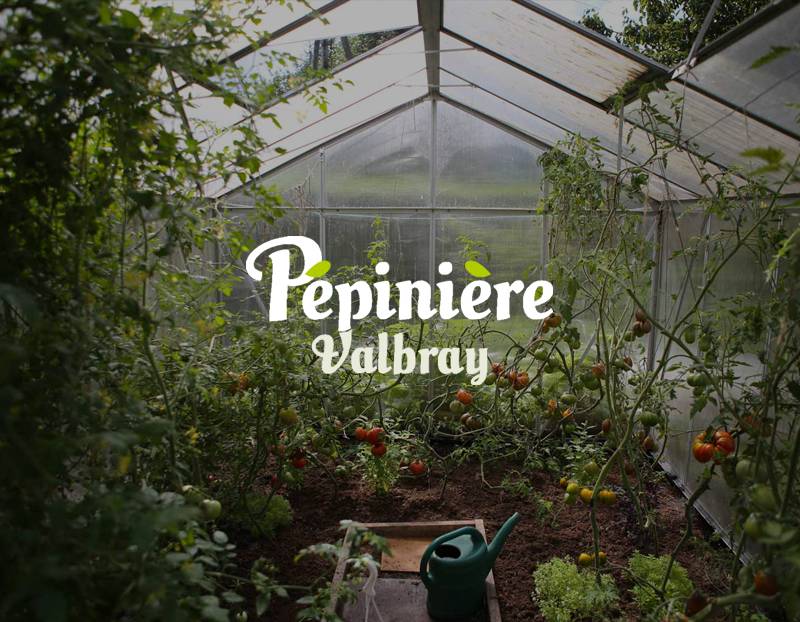 Dans quelle pépinière acheter des plantes méditerranéennes sur Ollioules ? - Pépinière Valbray 