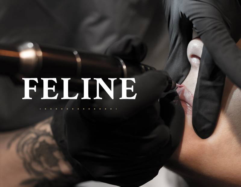 Dans quel institut faire un maquillage permanent des sourcils près de Bourg en Bresse ? - Institut Féline 
