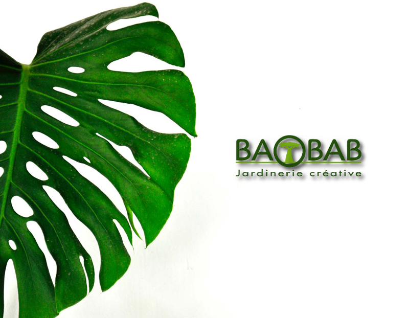 Baobab Salon de Provence