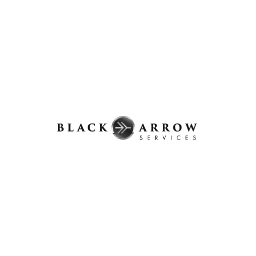 Qui contacter pour un transport en voiture de luxe électrique à Lyon ? - Black Arrow Services