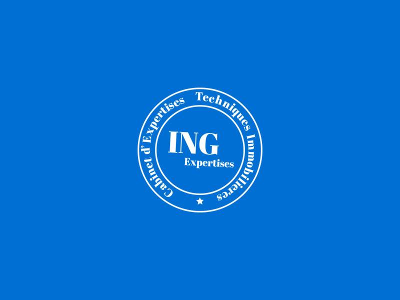 Ing Expertises