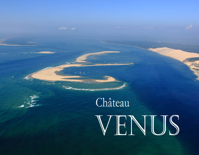 Où faire un baptême de l'air en Gironde ? - Château Venus