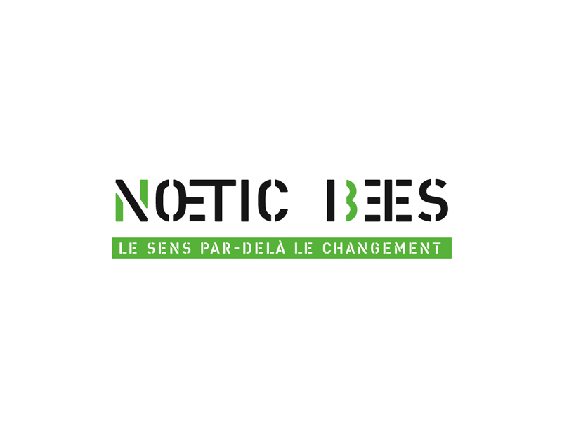 Où trouver un spécialiste de la gestion du changement en entreprise près de Lyon ? - Noetic Bees