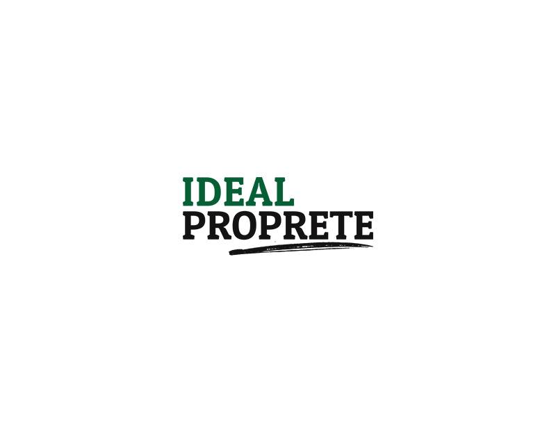 Laveurs de vitres professionnels pour bureaux d’entreprise et commerces à Lyon - IDEAL PROPRETE