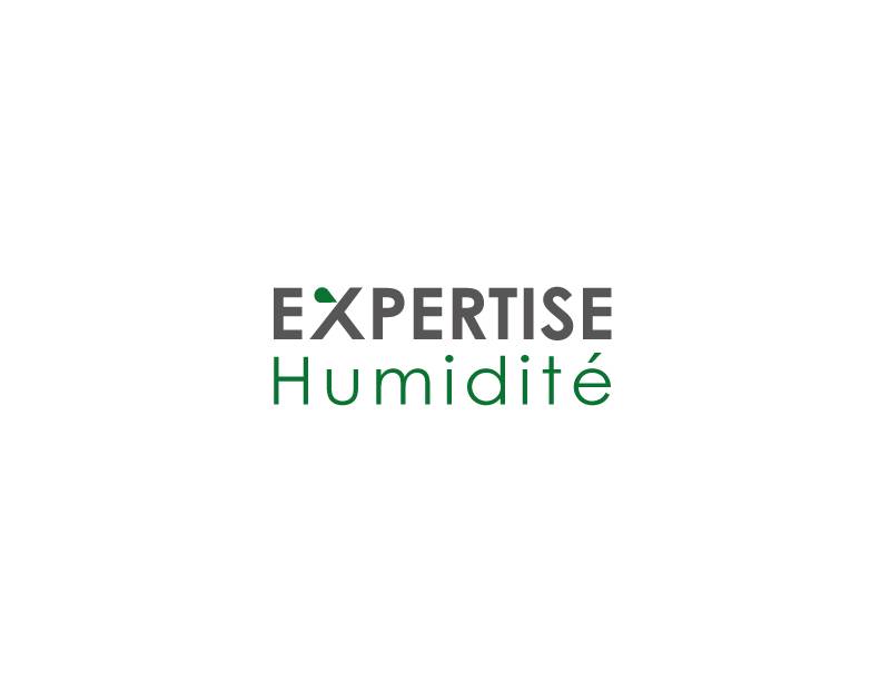 Diagnostic et expertise en infiltration d'eau à Lyon - Axe Assèchement