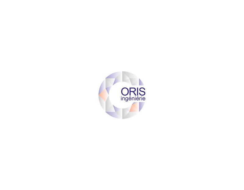Professionnel pour assistance en maîtrise d'ouvrage à Marseille - ORIS