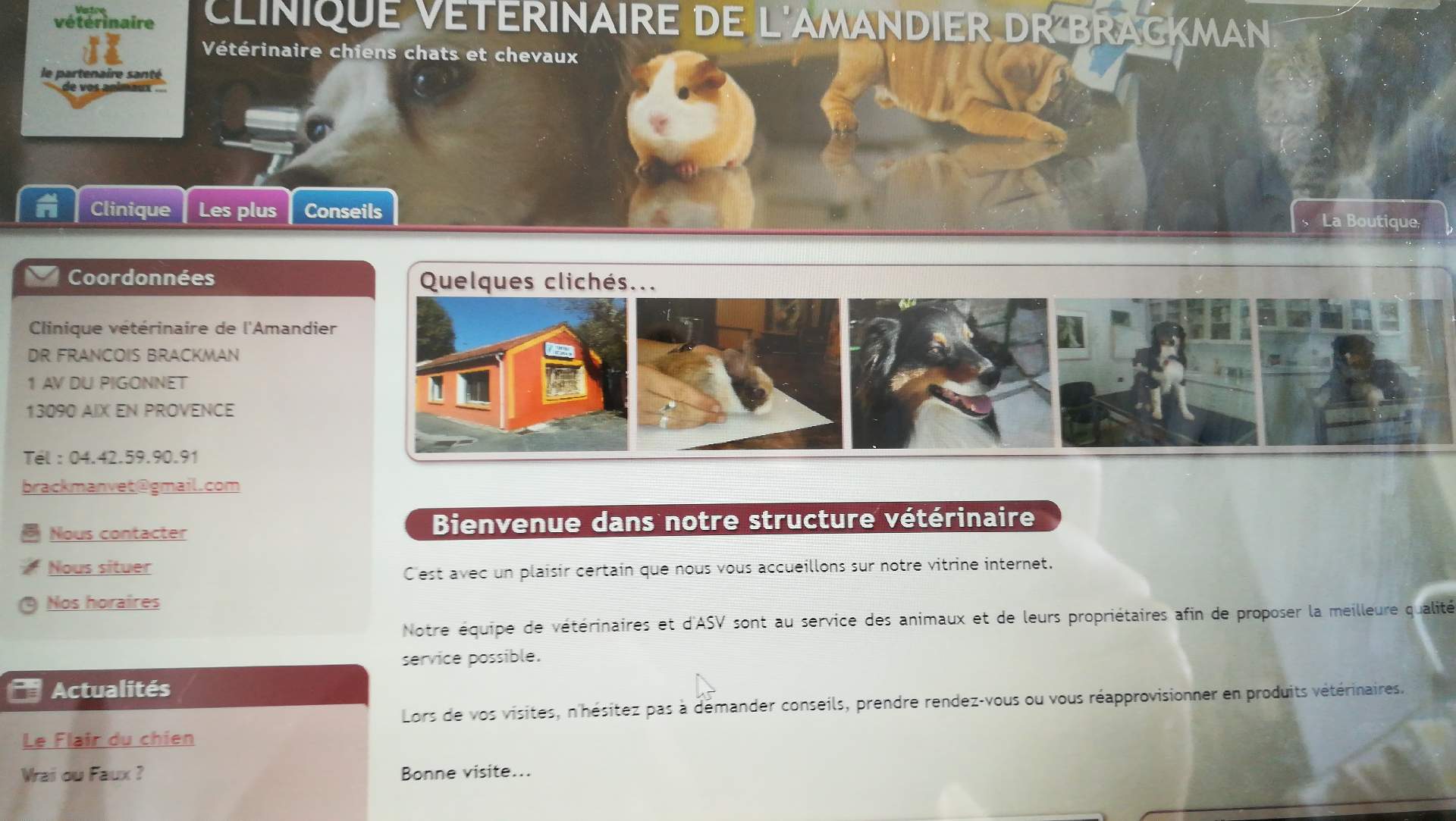 Vétérinaire spécialiste des chevaux à Digne-les-Bains Clinique vétérinaire de l'amandier