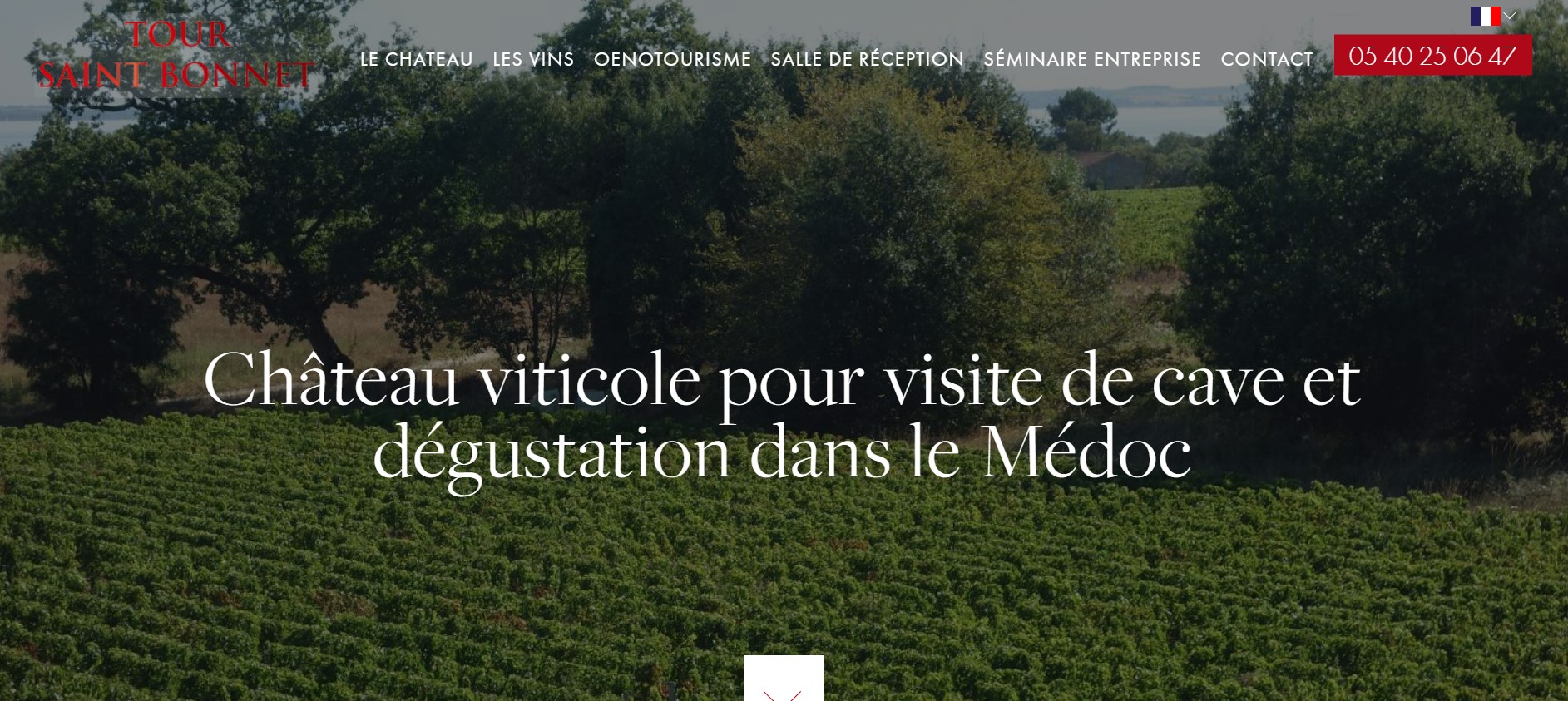 Château viticole pour visite de cave et dégustation dans le Médoc - Château Tour Saint-Bonnet à Saint-Christoly-Médoc