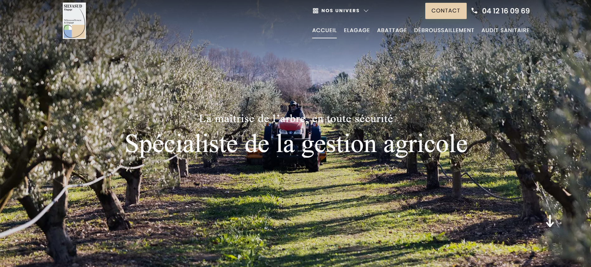 Comment choisir un professionnel pour l'élagage et taille des arbres à Avignon ? – Silvasud Elagage