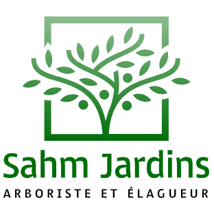Qui contacter près de Nice pour élaguer des arbres ? - SAHM Jardins