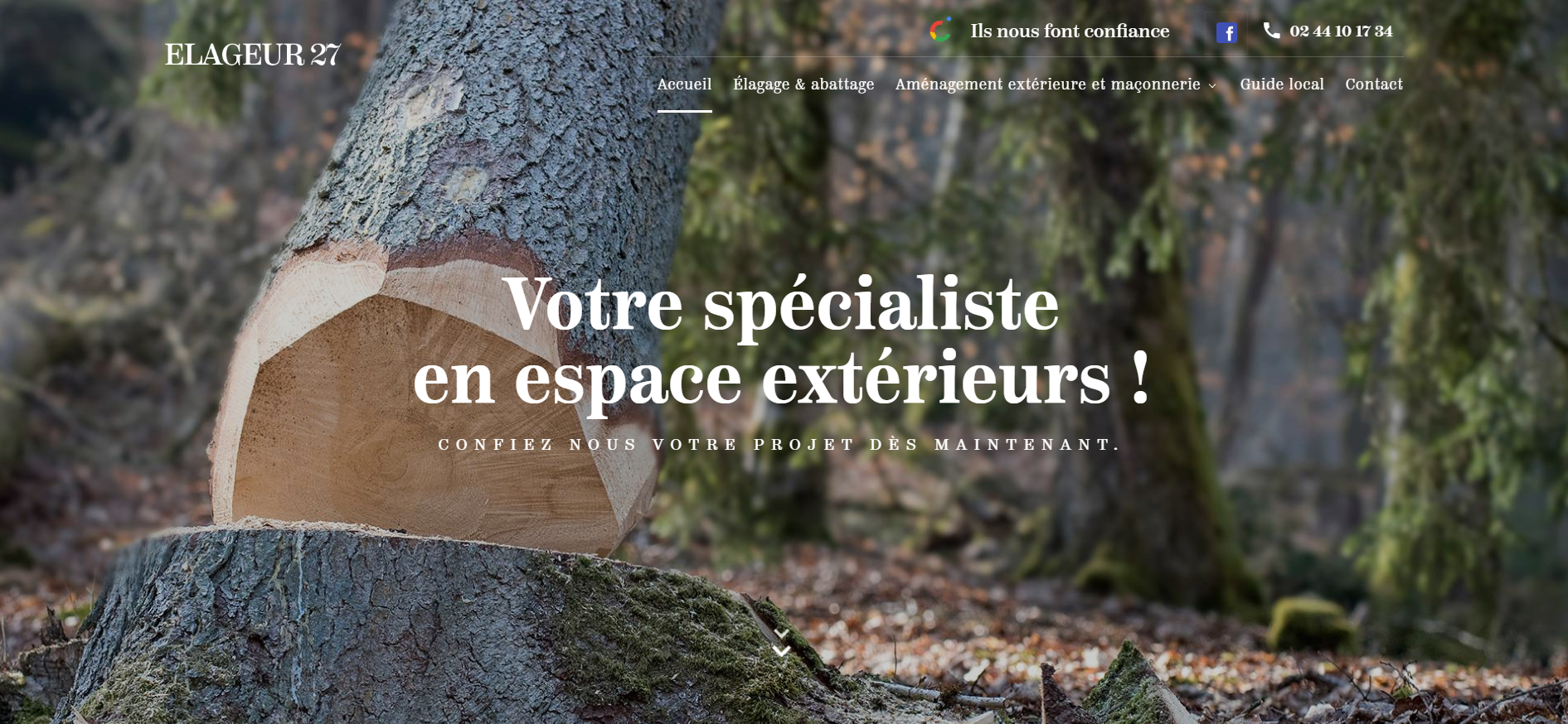 Faire élaguer un arbre trop encombrant près de Verneuil sur Avre dans l'Eure 27 -  Elag’Eure 27