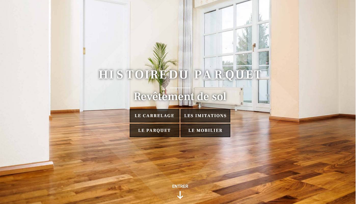 Trouver un spécialiste pour la pose de parquet massif à Montpellier - Histoire du Parquet