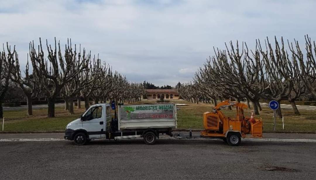 Paysagiste pour espaces verts et propriétés privées Martigues proche Gignac la Nerthe Arboristes absolu
