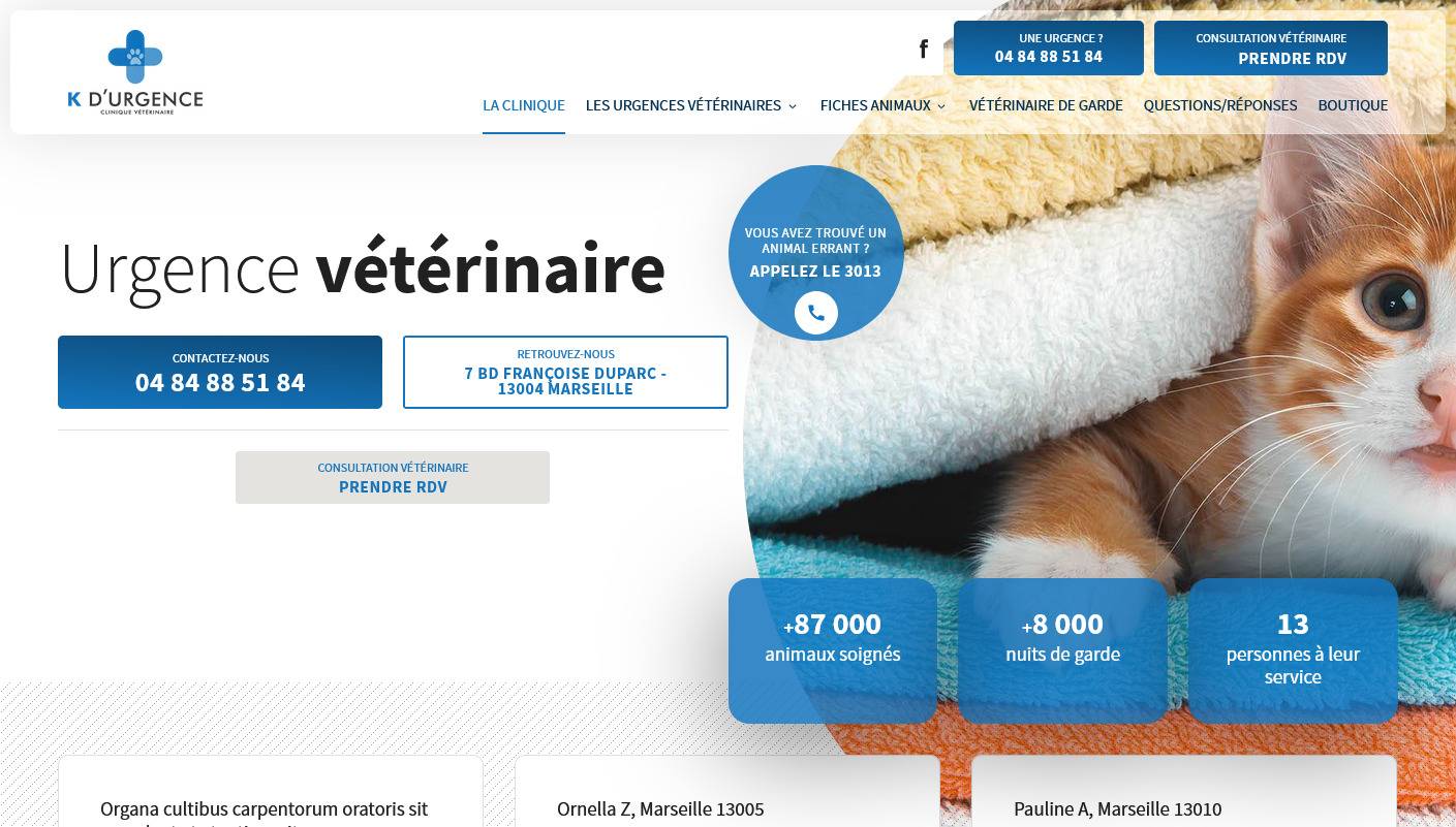 Comment soigner un animal en urgence à Marseille ? - K Urgence