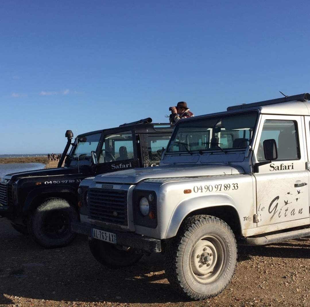 Faire un safari en 4x4 en groupe dans les Alpilles Saintes Maries de la Mer proche d'Arles Le Gitan Safari Photo du Delta