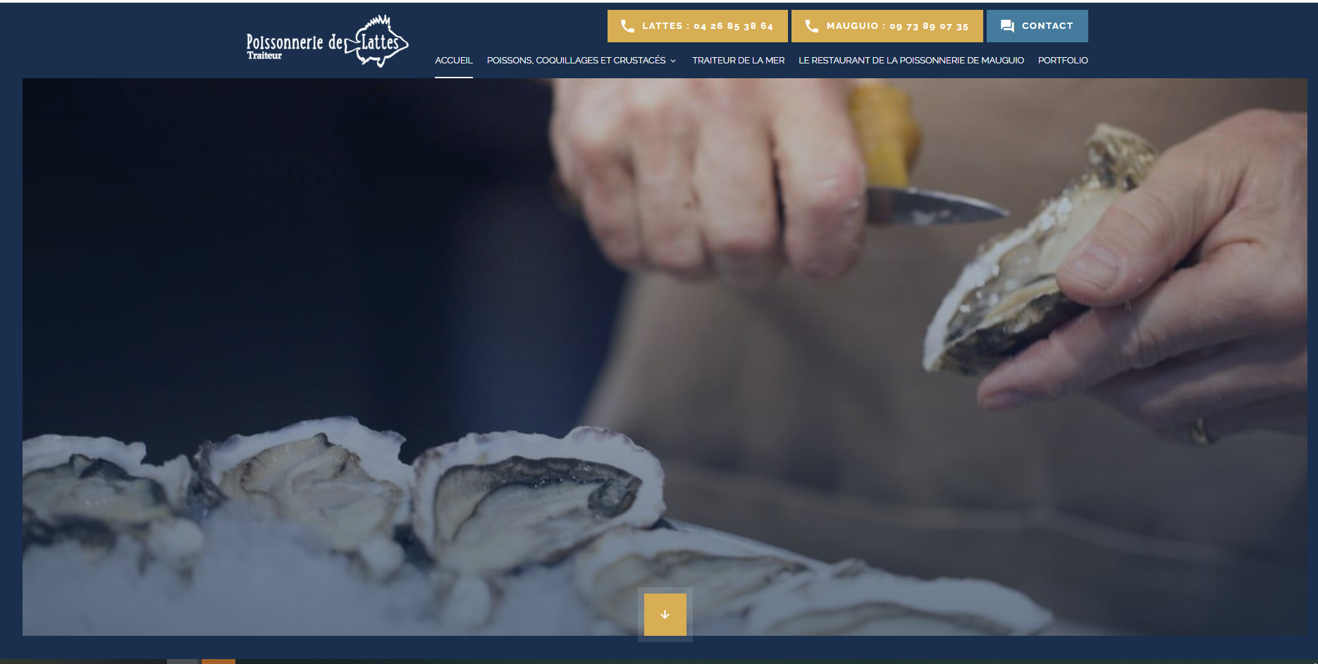 Les Poissonneries à Lattes et Mauguio vous propose du poissons frais et des plateaux de fruits de mer magnifiques 