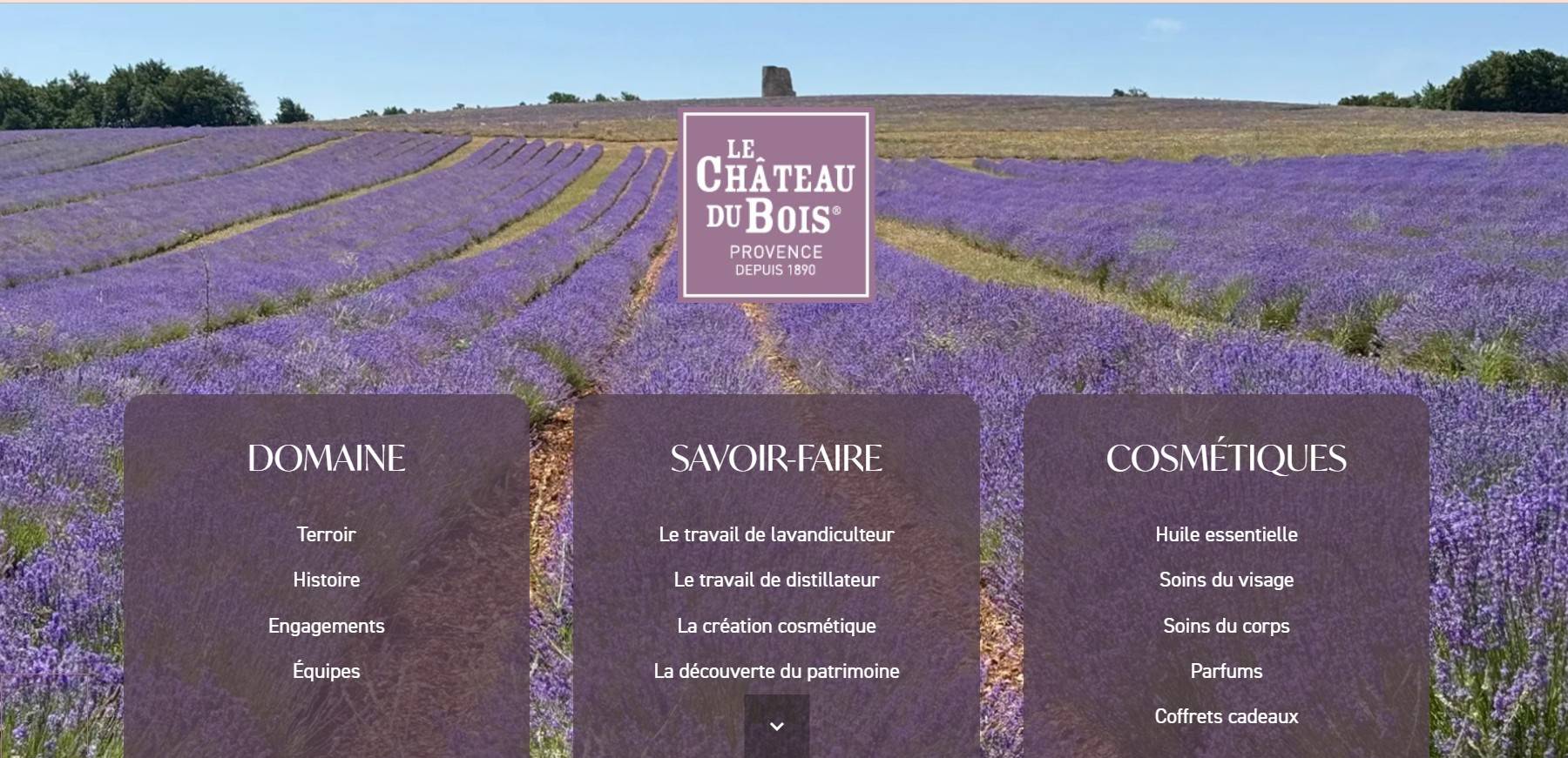 Vente de produits cosmétiques bio à base d'huile essentielle de lavande fine bio avec  livraison en France entière - Le Château du Bois Provence 