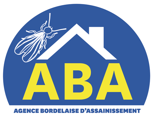 Quelle entreprise pour un traitement anti insectes xylophages à Mérignac ? - ABA Termites
