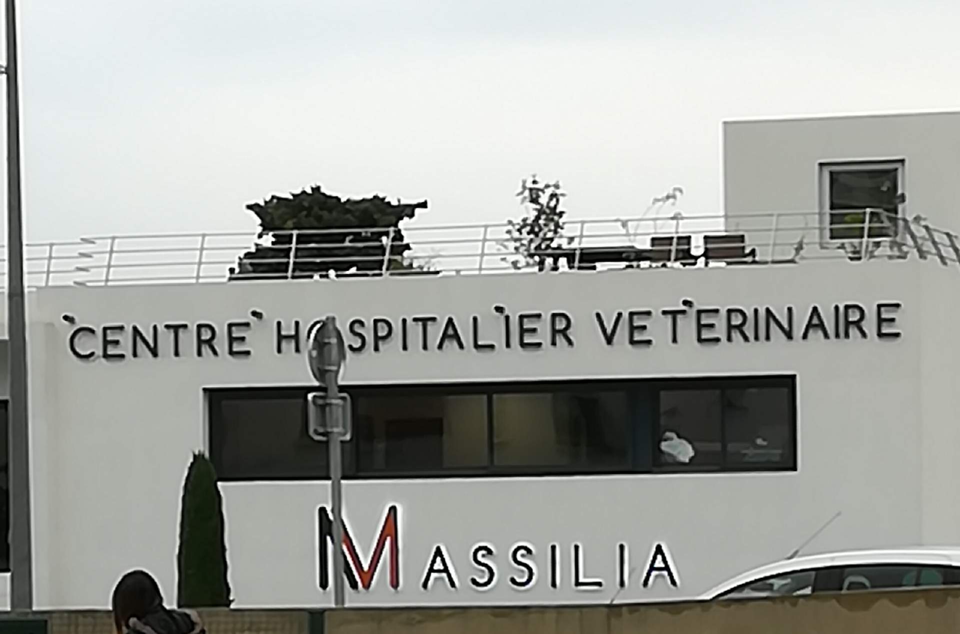 Clinique vétérinaire Marseille 13012 Centre hospitalier vétérinaire Massilia