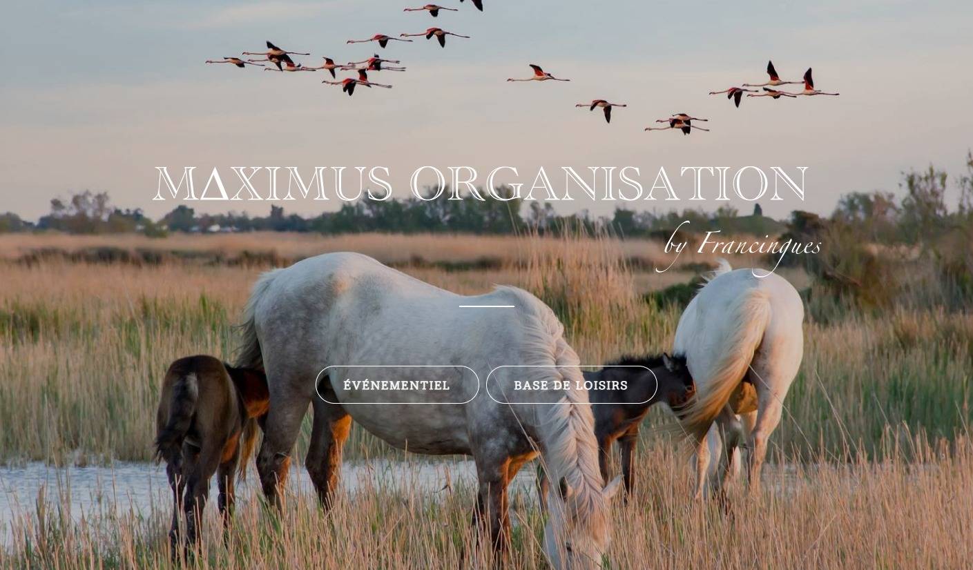Organisateur de team building en Camargue - Maximus