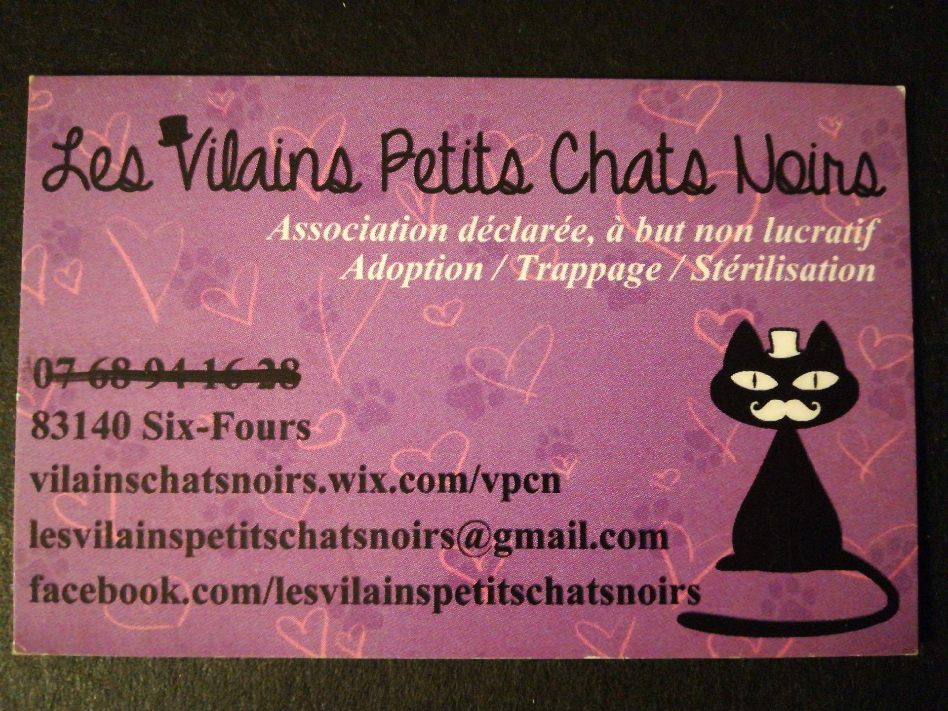 association de protection des animaux six-fours-les-plages les vilains petits chats noirs