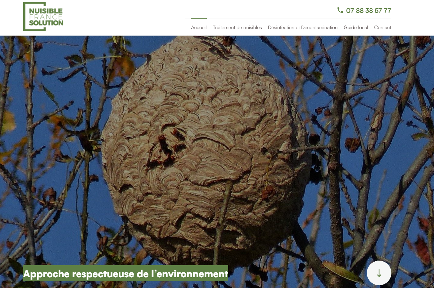 Se débarrasser des animaux et insectes nuisibles à Toulouse