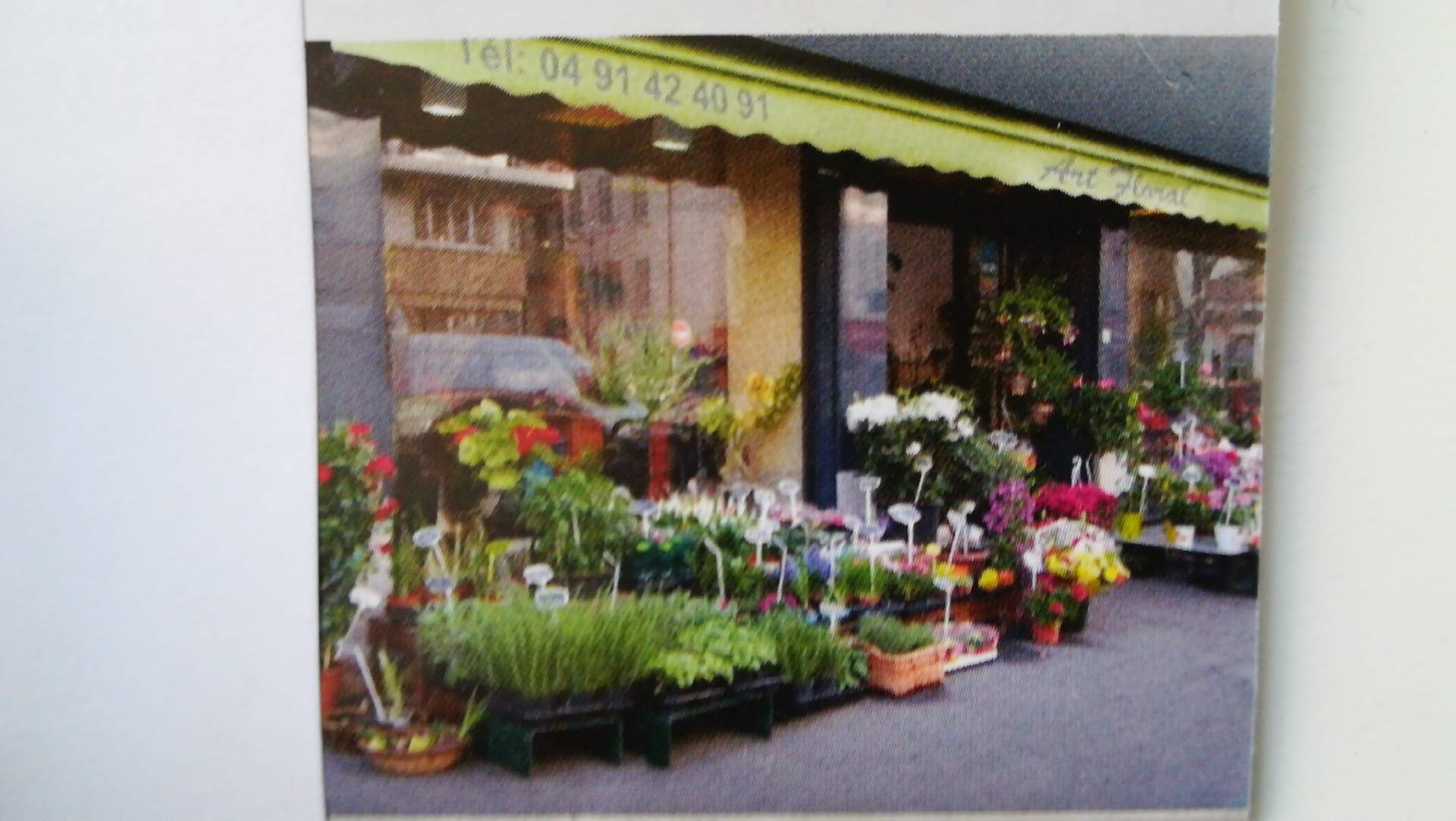 Fleuriste Marseille 13005 Infiniment fleurs