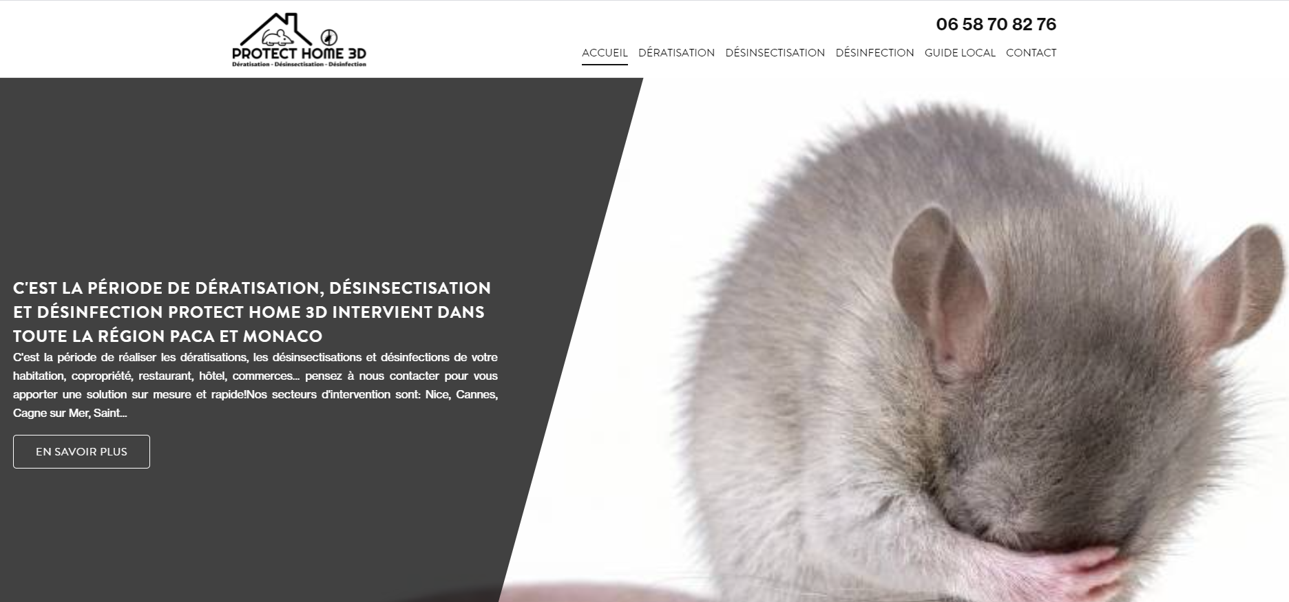 expert dératisation et lutte contre les insectes nice