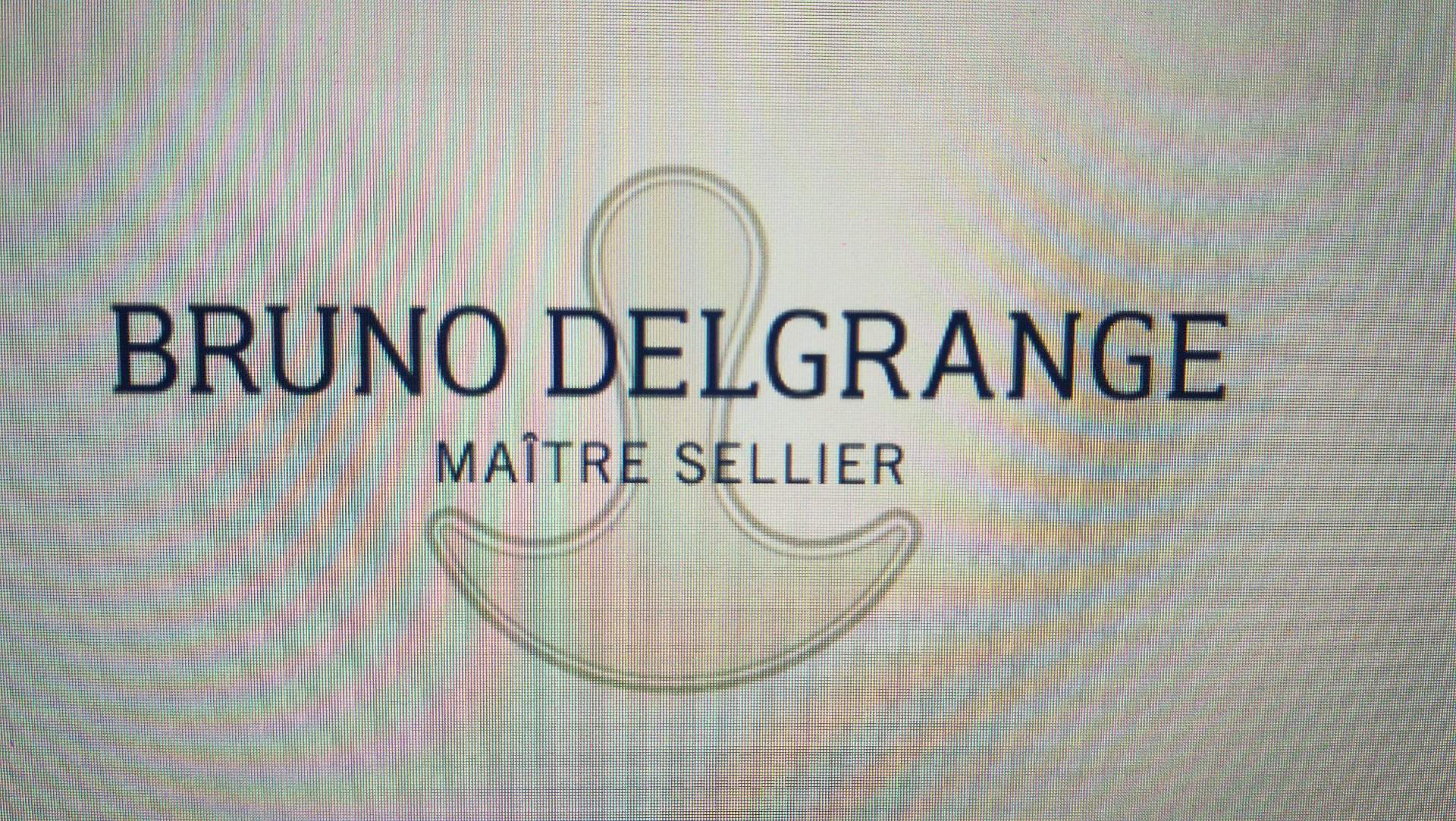 Sellier français pour cavalier Paris Bruno delgrange