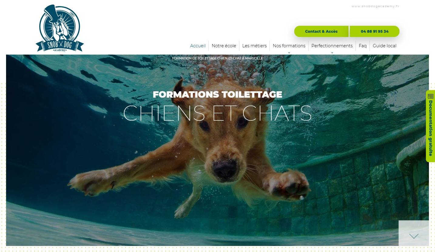 Quelle formation toiletteur suivre vers Marseille ? - Snob Dog Academy