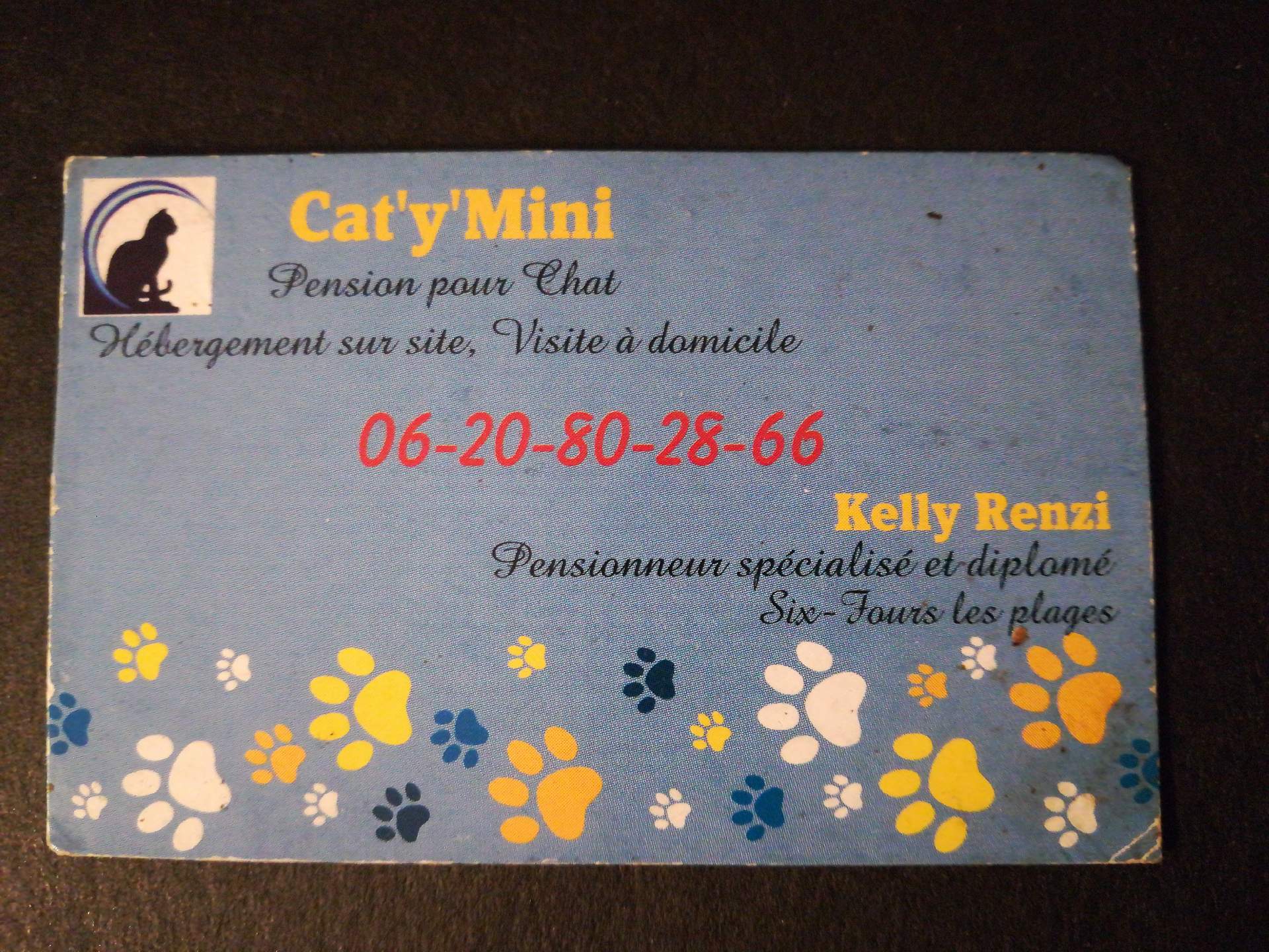 pension pour chat six-fours-les-plages Cat'y Mini