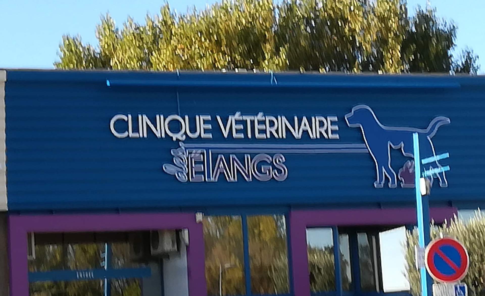 Soins,conseils et informations pour la santé de votre animal Perols Clinique Vétérinaire des Etangs