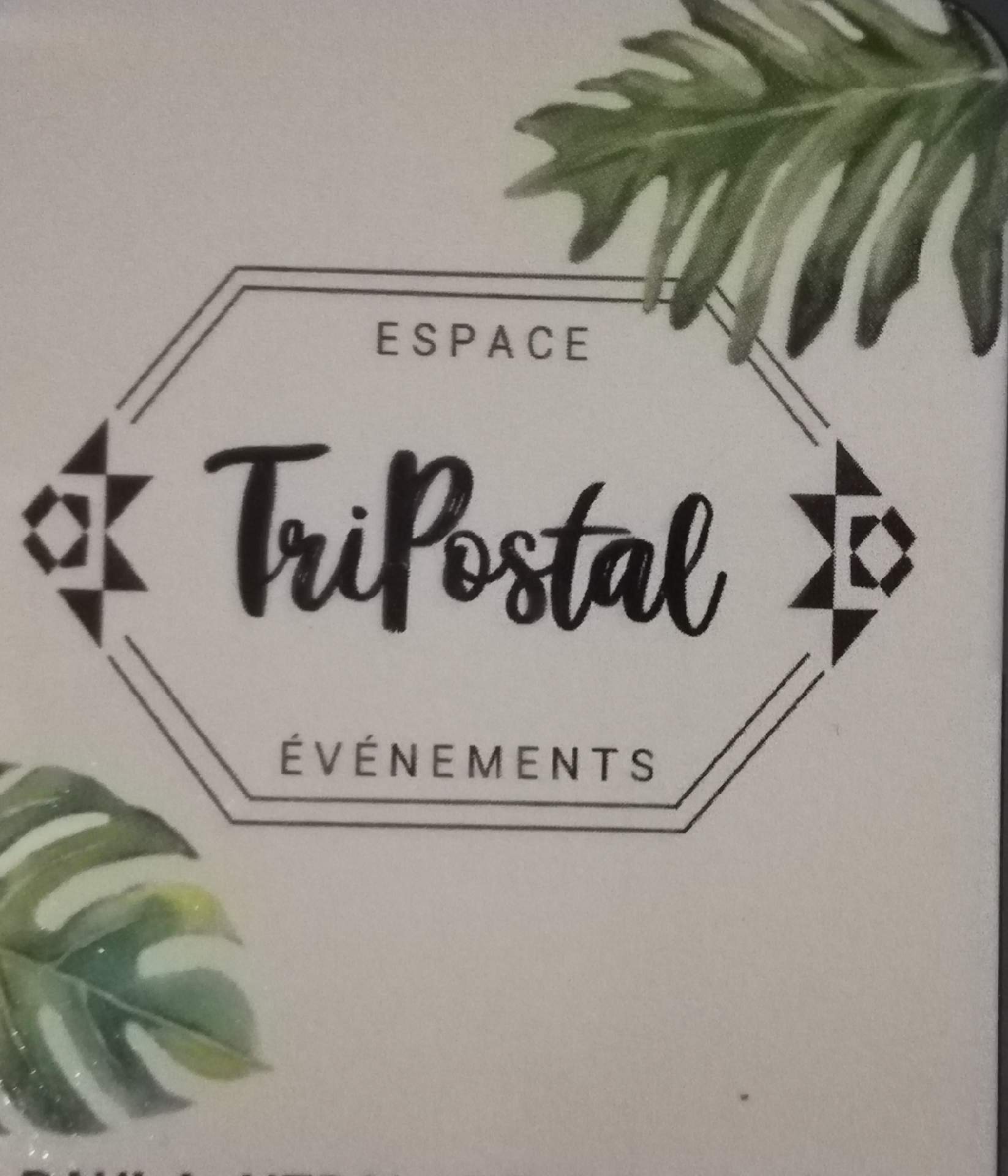 Organisatrice d'événements pour entreprises Marseille 13002 Tripostal Events