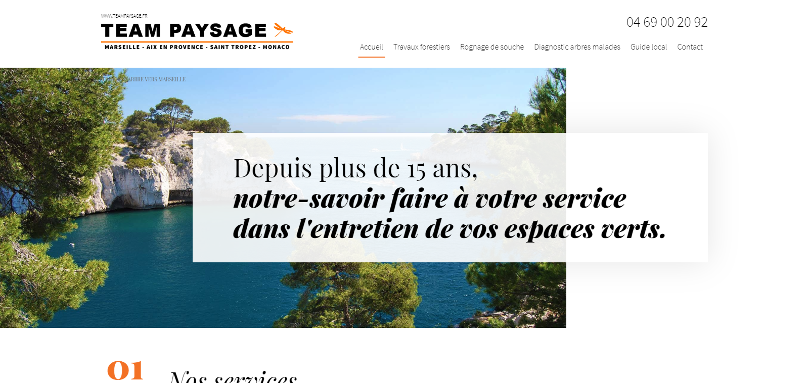 Comment assurer la mise en sécurité d'un arbre à Marseille ? - Team Paysage