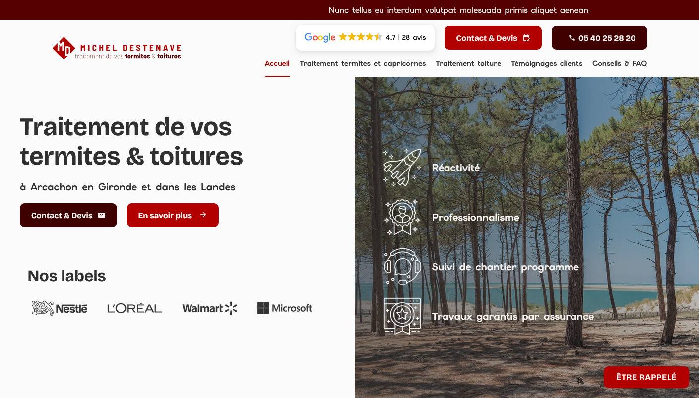 Comment se débarrasser efficacement des termites en Gironde ?