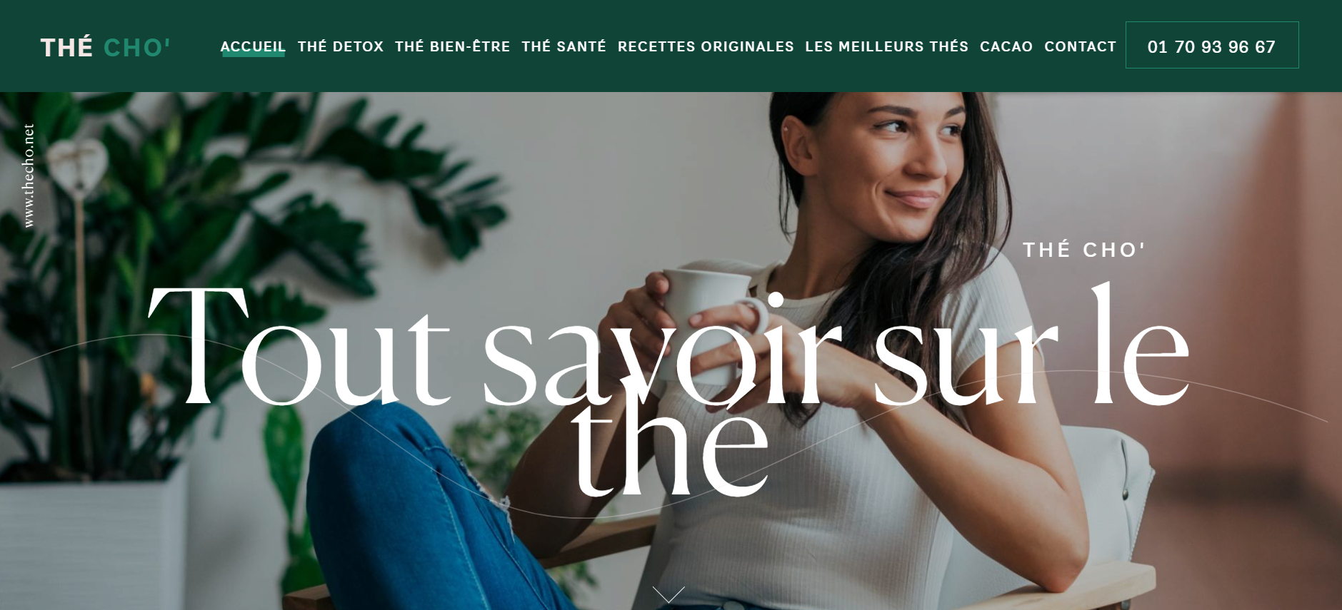 Boutique en ligne spécialiste des ventes de thés et infusions à Bordeaux