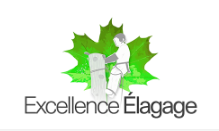 Où trouver un professionnel pour abattre un arbre à Toulouse ? - Excellence Elagage