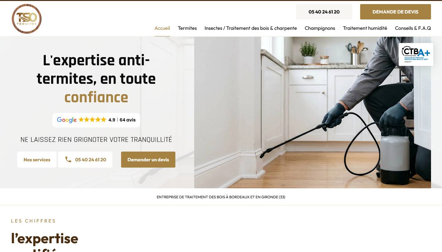 Entreprise de traitement anti-termites sur Pessac - TSO Termites